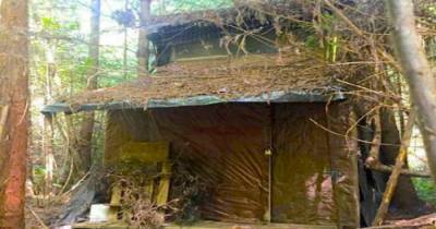 Forest Ranger Finds A Mysterious Cabin In California&rsquo;s Arcata Community Forest With A Huge Surprise Inside