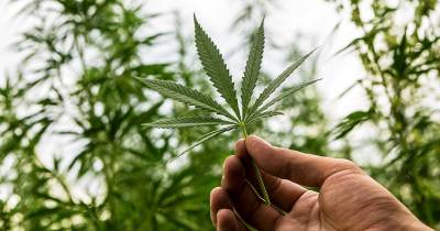 A Mysterious Illness Has Been Linked To Smoking Marijuana