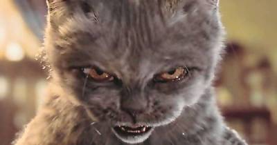 Vicious Cats With A Taste For Human Flesh On The Attack