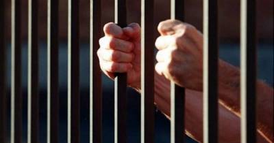 Danish Man Lands Himself In Jail For Simply Telling People How To Download Movies Illegally