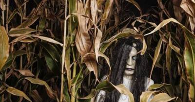 Science Reveals The Real Reason Why Some People See Ghosts While Others Don't