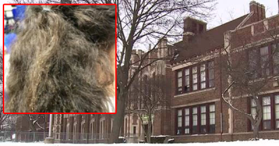 Mom Furiously Demands Explanation After Her 7-Year-Old Daughter's Hair Is Allegedly Burnt By A Second Grader At School