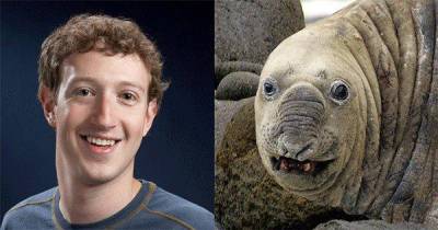 30 Famous People Who Look Like Animals