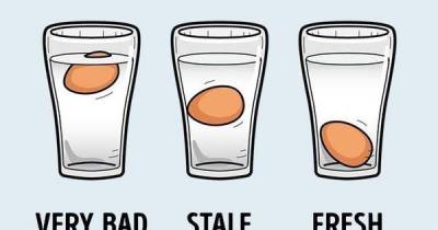 Ten Egg Cooking Hacks That Everybody Should Know