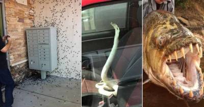 Weird Situations That Might Make You Pee A Little