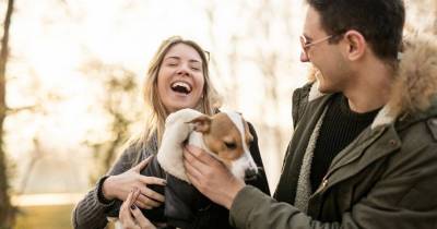 Dog Owners Are More Likely To Find Love Study Suggests