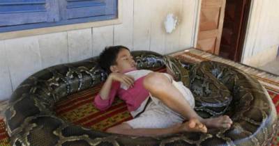 9 People Who Are Not Afraid Of Dangerous Animals