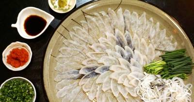The World's Deadliest And Most Dangerous Foods