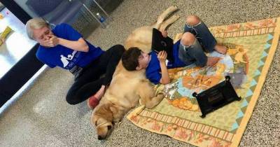 Mom Posts A Tearful Picture Of Autistic Son With His Service Dog On Social Media With An Emotional Note