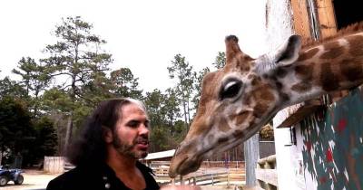 Check Out These Celebrities And Their Bizarre Pets