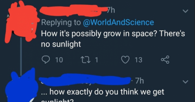 People Who Have No Idea What They Are Doing