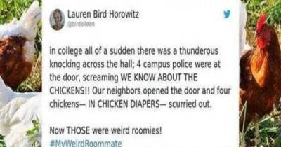 Twitter Users Use The Platform To Out Their Weird Roommates