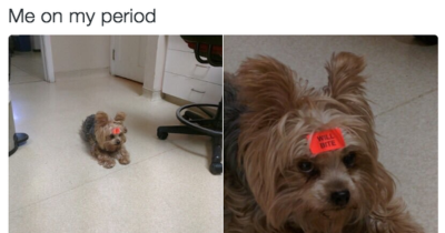 Every Woman Ever Alive Can Relate To These Period Memes