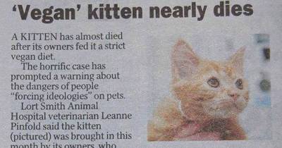 These People Will Make You Lose All Faith In Humanity