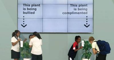 IKEA Asks People To Bully A Plant For 30 Days And Results Are Eyeopening