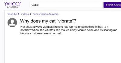 These Yahoo Answers Posts Will Make You Feel Much Smarter
