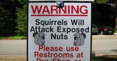 These People Are Having Way Too Much Fun With Their Signs