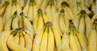 10 Foods That Might Became Extinct In Your Lifetime