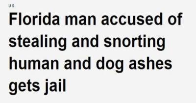 The World Is Full Of Crazies, But Florida Really Has The Most Crazy People Than Any Other State