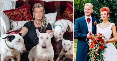Husband Says 'It&rsquo;s Me Or The Dog' Wife Chooses Her Beloved Bull Terriers, Ends 25-Year Marriage