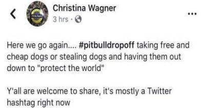 These Sick People Are Adopting Pit Bulls For The Sole Purpose Of Having Them Euthanized