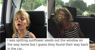 This Just Proves That Kids Are Totally Hilarious