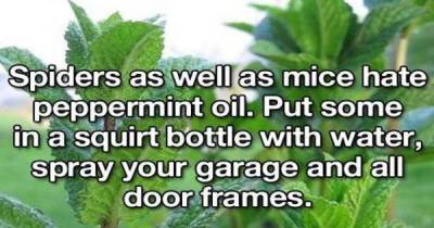 How Did We Ever Live Without These Life Hacks?