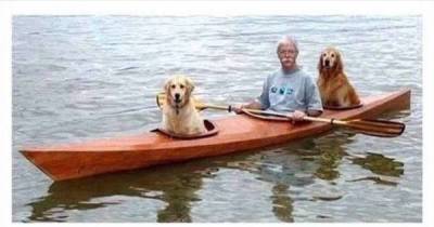 These Wholesome Memes Will Truly Brighten Your Day