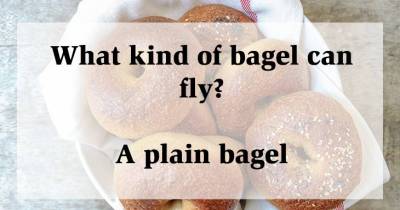 Jokes So Lame That They Will Crack You Up