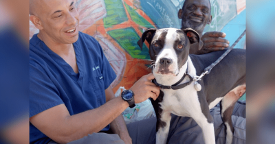 Meet The Veterinarian Walking Around The Streets Of California And Treating Animals Of Homeless People For Absolutely Free
