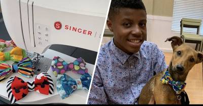 Teenager Makes Adorable Bow Ties For Shelter Animals In An Effort To Help Them Get Adopted