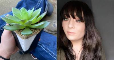 Woman Watering Beautiful Succulent For Past Two Years Discovers It Is Actually Plastic