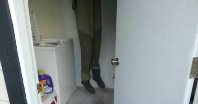 30 Innocent Pictures That Will Scare You Off In The First Look