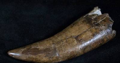 10 Unbelievable Things Pulled From The Sewers