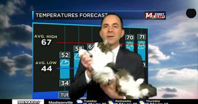 Weatherman's Live At-Home Forecast Goes Viral After His Adorable Cat Bombs His Show And Becomes His Beloved Co-Host