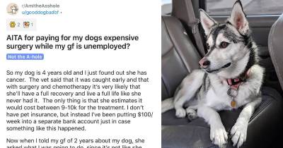 Man Takes To Reddit To Ask People If He Is At Wrong For Fighting With His GF Because He Wants To Spend Over 10K On His Dog&rsquo;s Medical Treatment