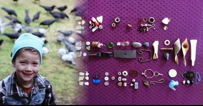 Young Girl Receives Gifts From Crows She Has Been Feeding Since She Was 4