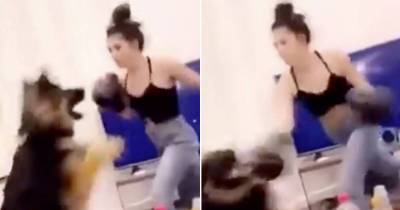 Woman Sparks Outrage After A Video Of Her Hitting Dog Surfaces On Internet, An Investigation Is Launched Against Her