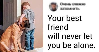 20 Pictures That Prove Your Pet Will Be With You Through Thick And Thin In Life