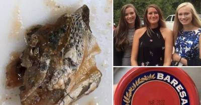 Mum Horrified To Find 'Lizard Head' In Her Lidl Vegan Bolognese