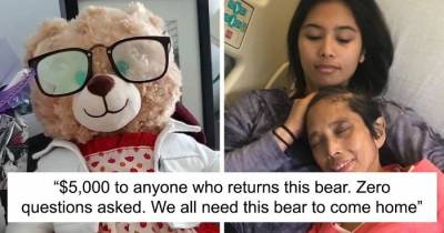 This Woman's Teddy Bear That Had Her Late Mother's Voice Recording Was Stolen By Thieves, Ryan Reynolds And Many Others Help Finding The Lost Item