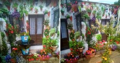 For A Perfect Optical Illusion, This Woman Fakes a More Exotic Garden With &pound;10 Shower Curtain