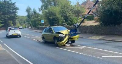 Driver Crashes Into A Road Sign After Spotting Spider In The Car