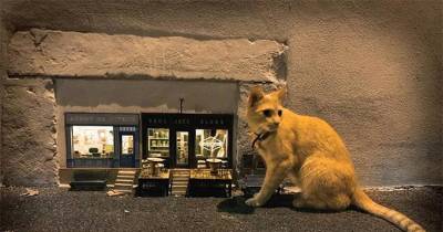 This Swedish Artist Group 'Anonymouse' Creates Magical Tiny Houses For Mouses Around The Streets of Sweden