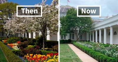 Twitter Is Far From Impressed With Melania Trump&rsquo;s White House Rose Garden Renovation
