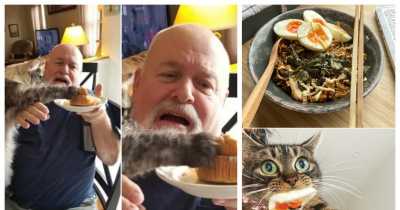 18 Amusing Pictures Show Cats Caught Red-Handed Stealing Snacks