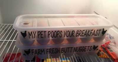 15 Not So Amusing Pictures That Make Us Question Everything About People's Behavior And Decisions
