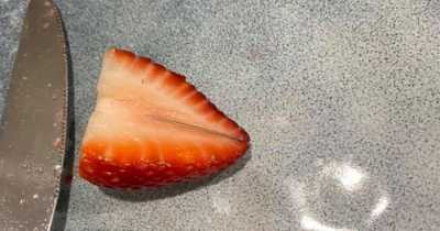 Police Investigating Food Contamination Case After 11-Year-Old Boy Finds Pins Hidden Inside Strawberries