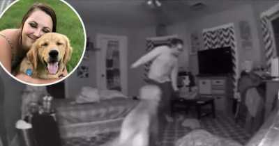 Dog Helps Owner Reach To Bed After She Comes Home From Night Out