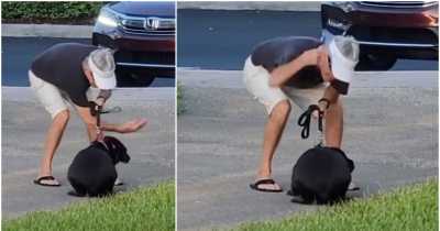 Lady Passing By Recorded This Florida Man Slapping And Punching His Cowering Pooch